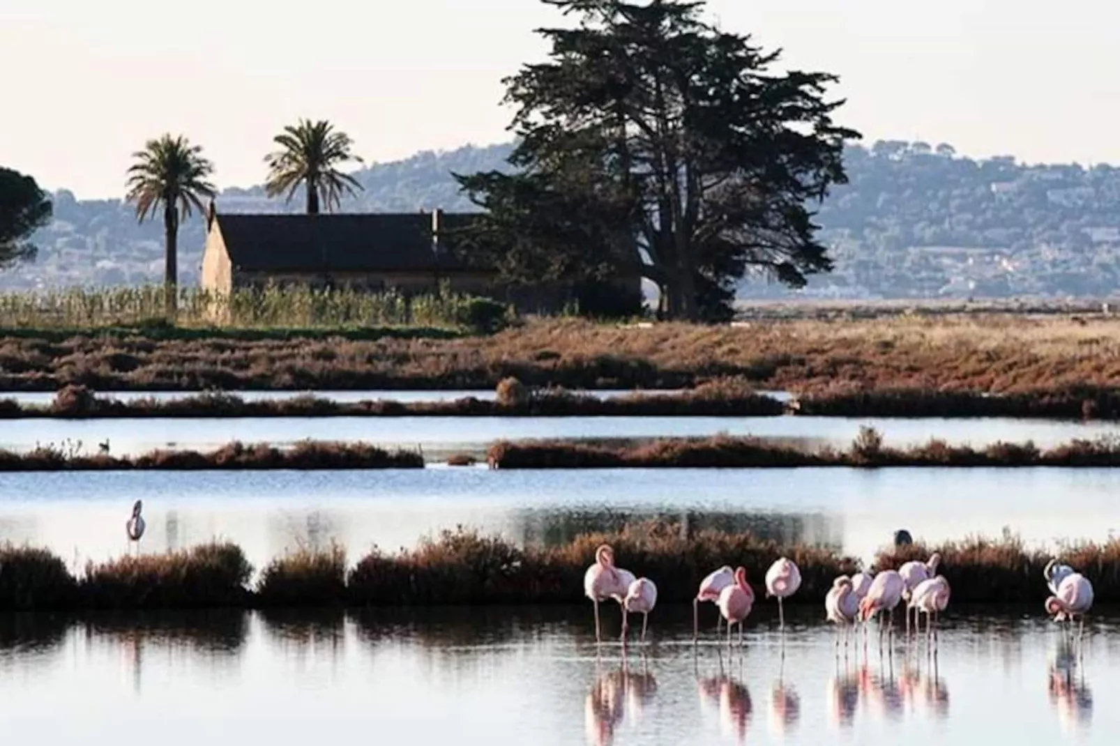 " Le Moorea" - Appartement 4 Personnes-Nicht zugeordnet