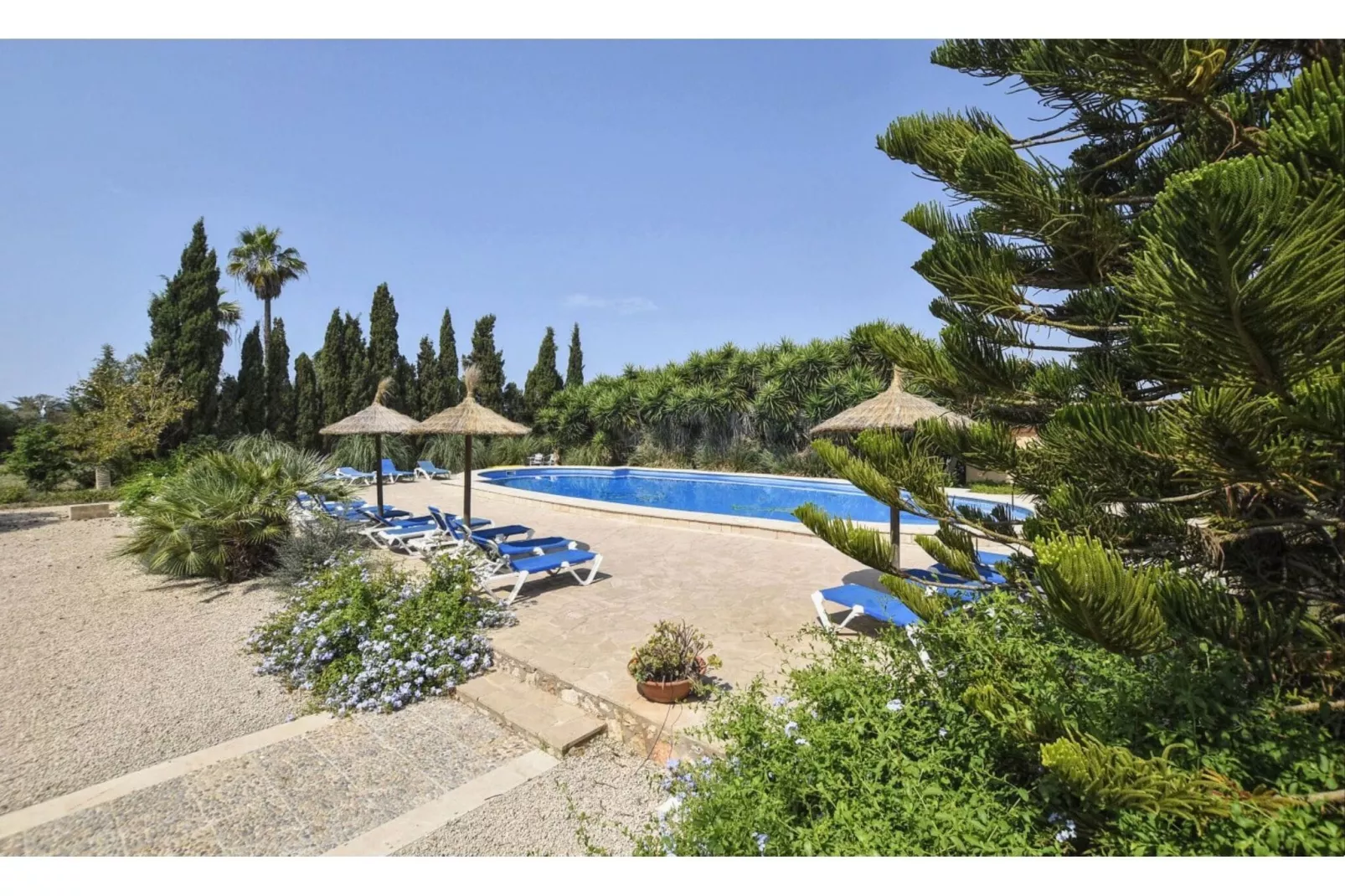Napont-Pool