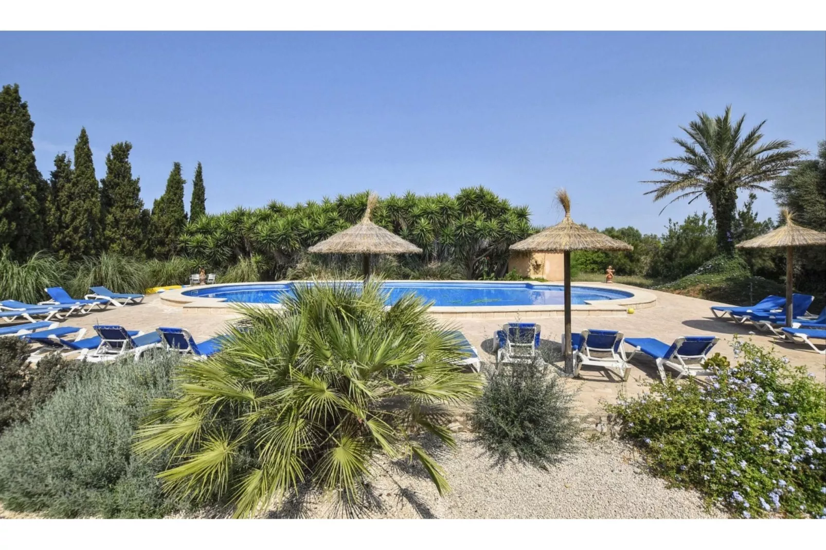 Napont-Pool