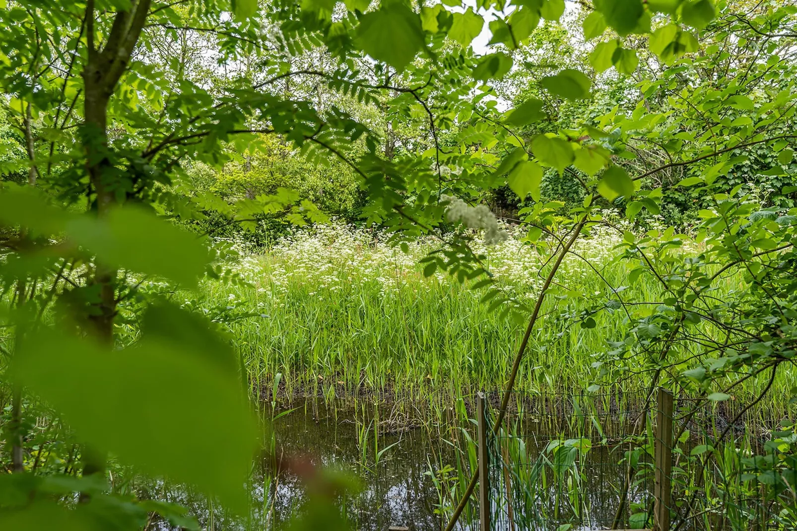 Noorderlicht-Gardens in summer
