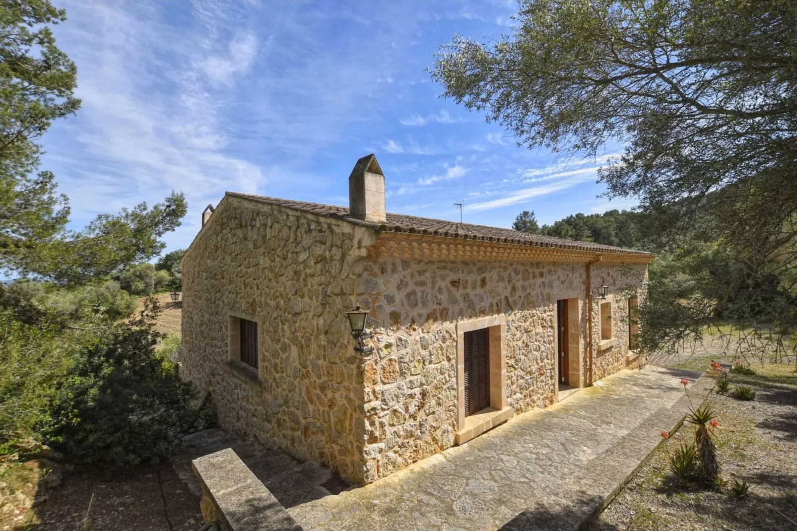 Holandis-Exterior summer