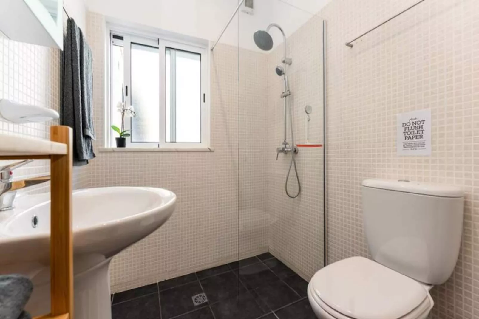 Duas Palmeiras-Nicht zugeordnet