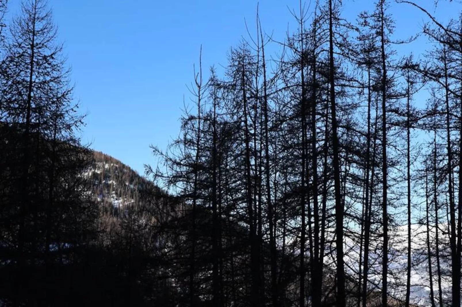 Résidence Le Pouzenc-Nicht zugeordnet