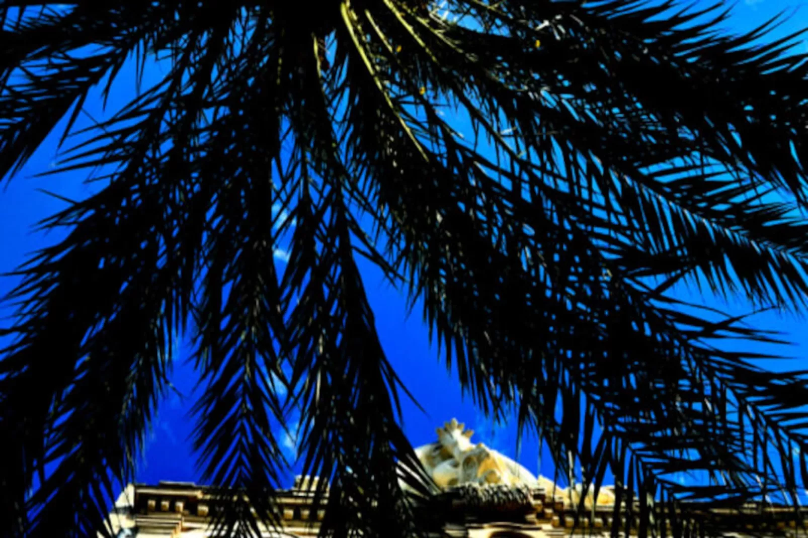 Résidence Le Saint Louis - Studio Terrasse Proche De La Plage-Untagged