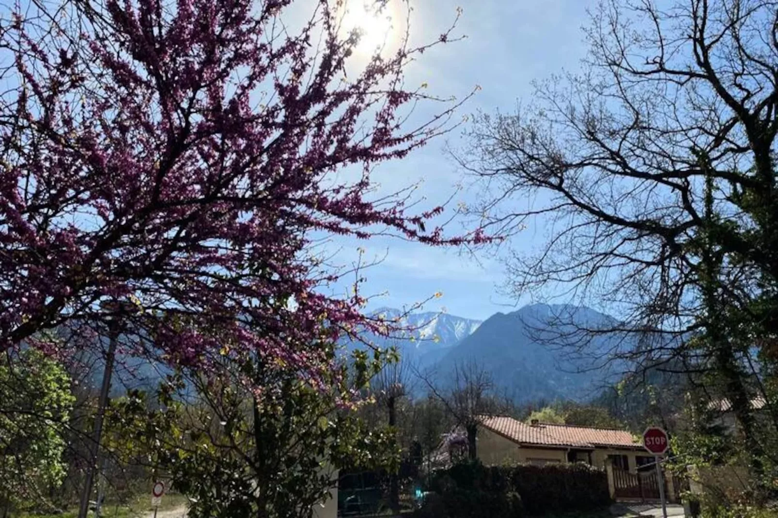 Résidence Balcon Du Canigou-Untagged