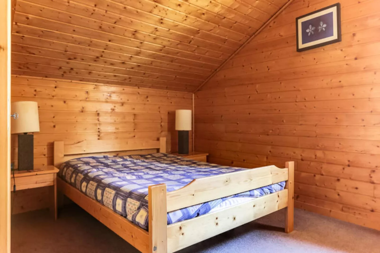 Chalet Forsythia-Non tagué