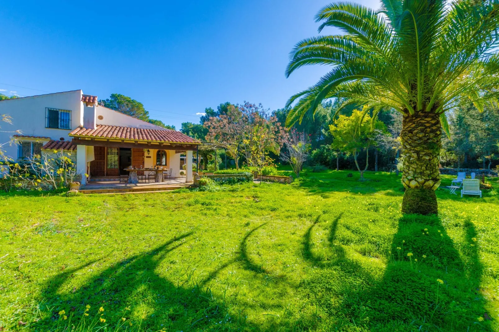 Can Capulla 6-Exterior summer