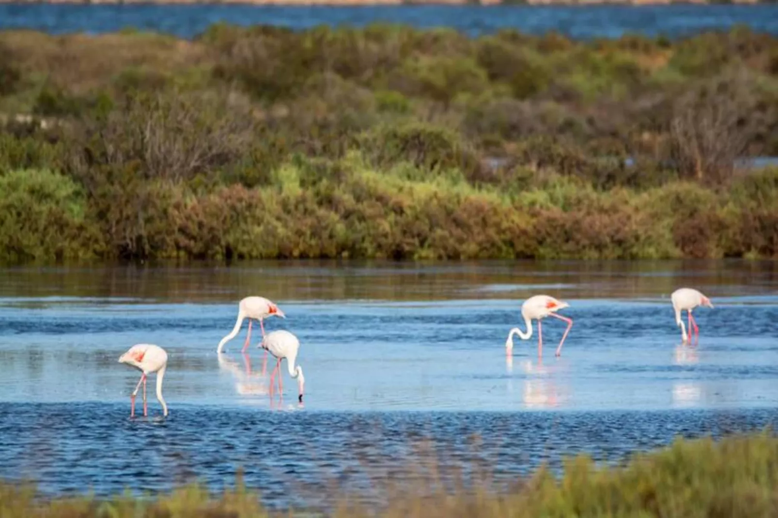 Résidence Le Zodiaque Ii-Nicht zugeordnet