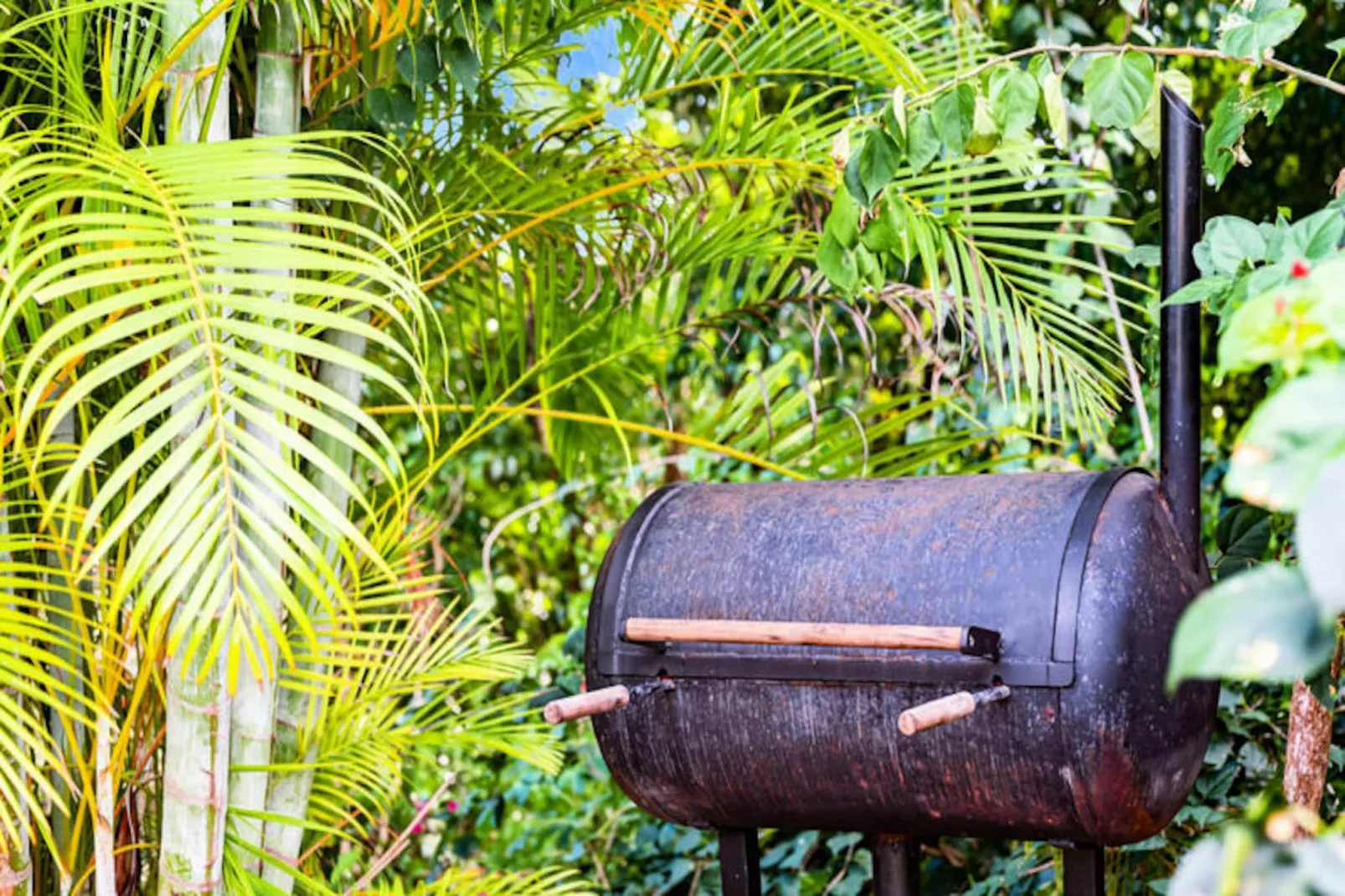 Villa Coccoloba - Non tagué