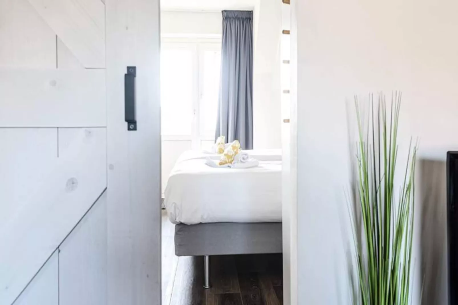 Albatros Aan Zee - Zandvoort-Non tagué