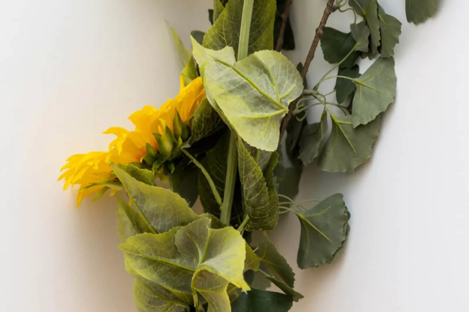 Appartements à Porto-Non tagué