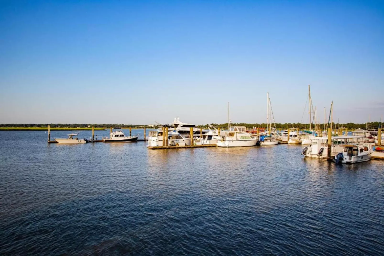 Résidence La Clé des Cimes 4-S8-Areas within 20km in summer