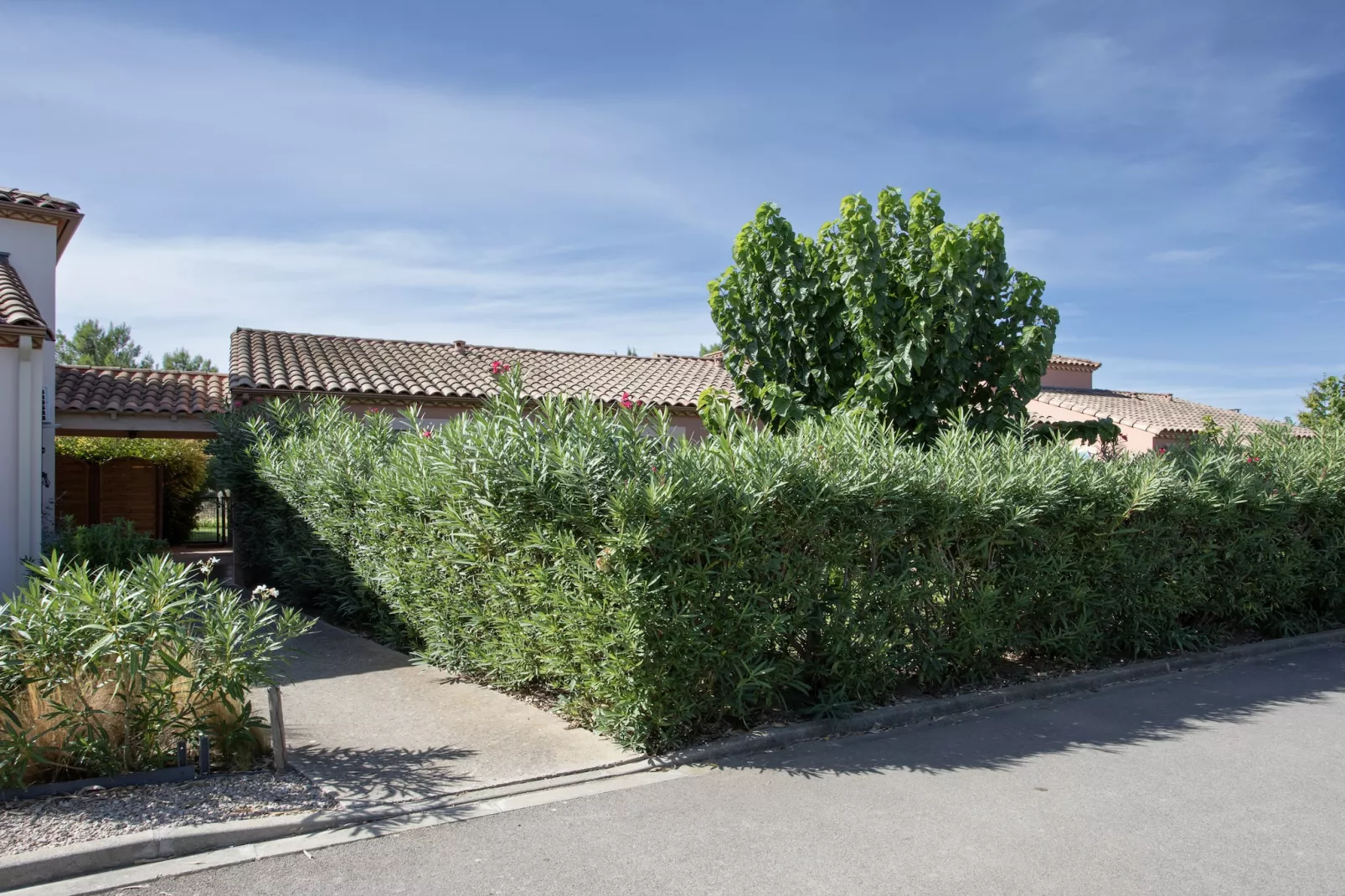 P. Minervois L N°02 - Villa 3P6-Areas within 1km in summer