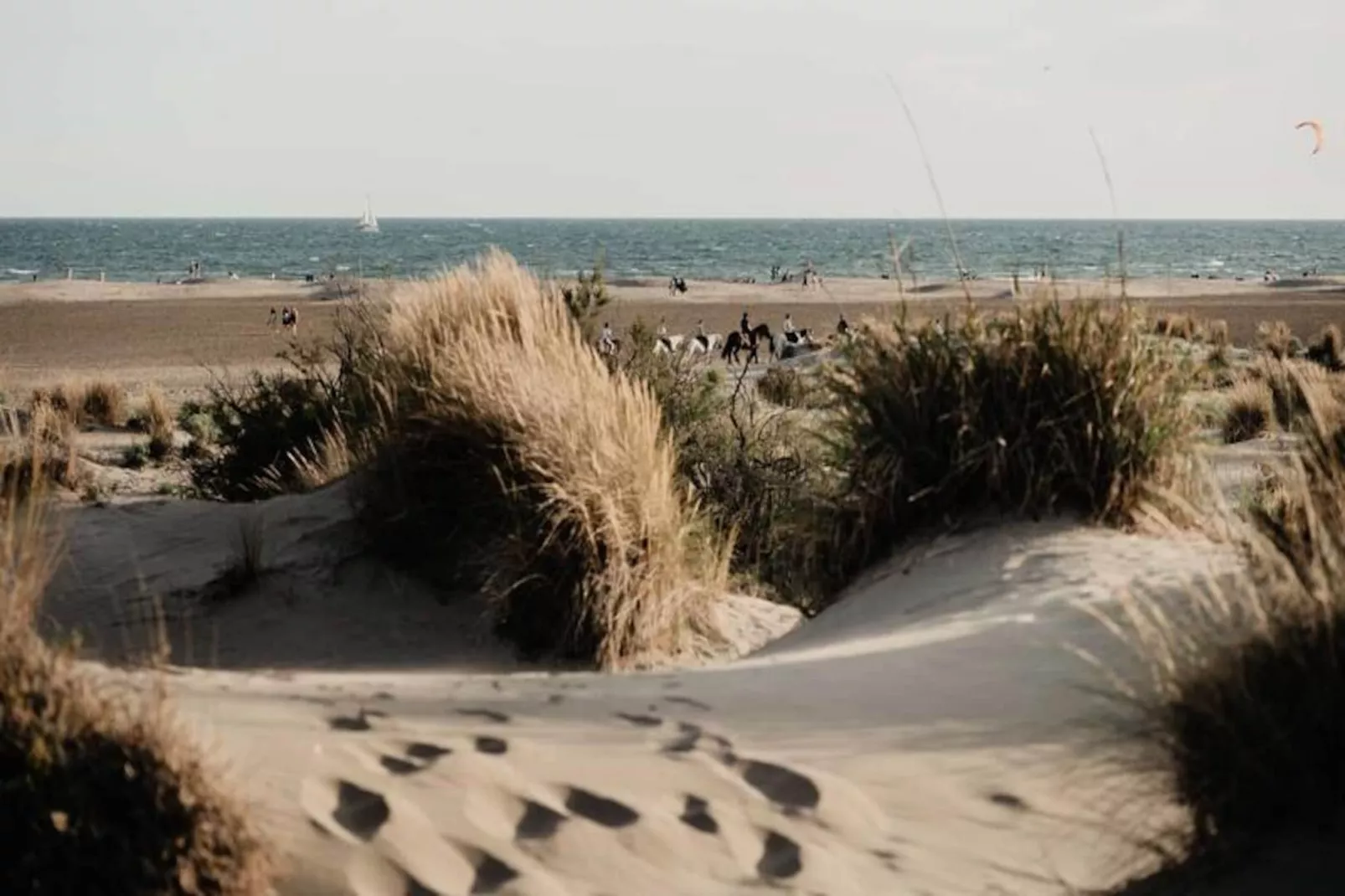 Résidence Voiles D'or-Untagged