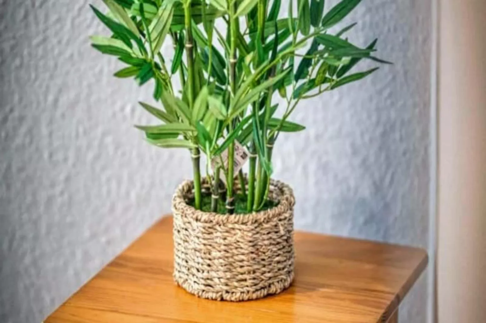 | Le Petit Marcel 🦓 | Hyper-centre, Tout &eacute;quip&eacute;-Nicht zugeordnet