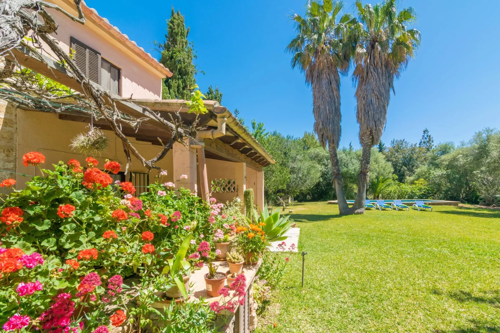 Can Ferrer-Exterior summer