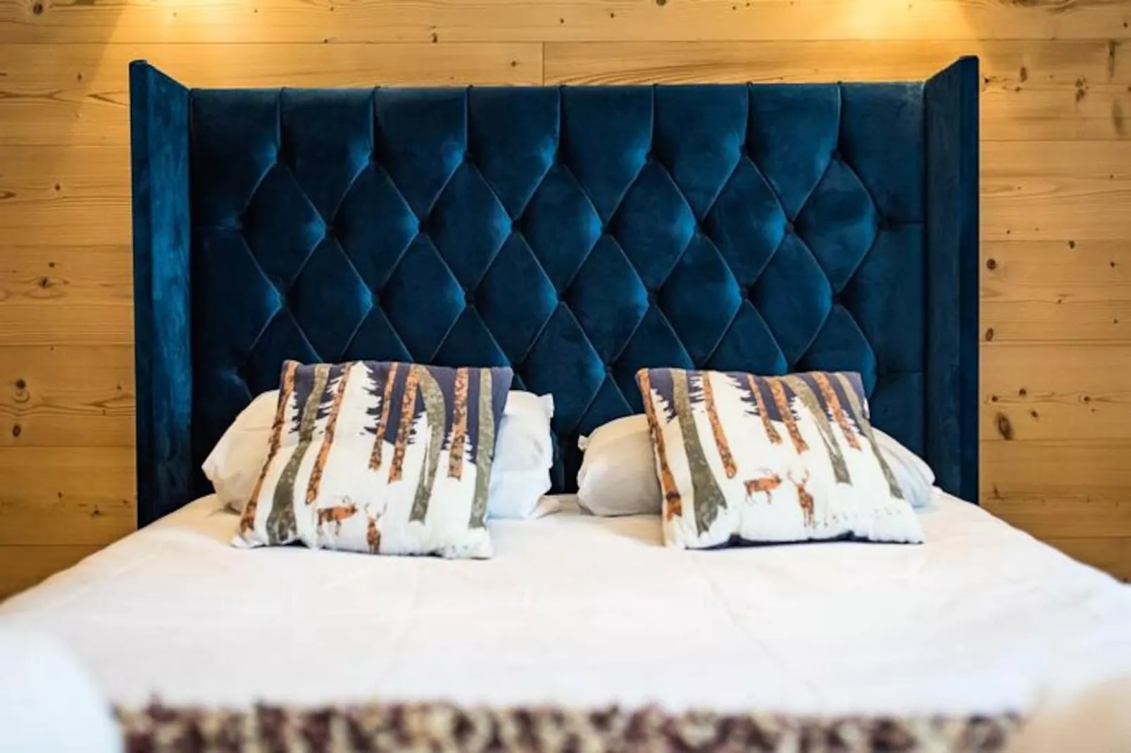 Chalet Denté-st Sorlin D Arves-Untagged