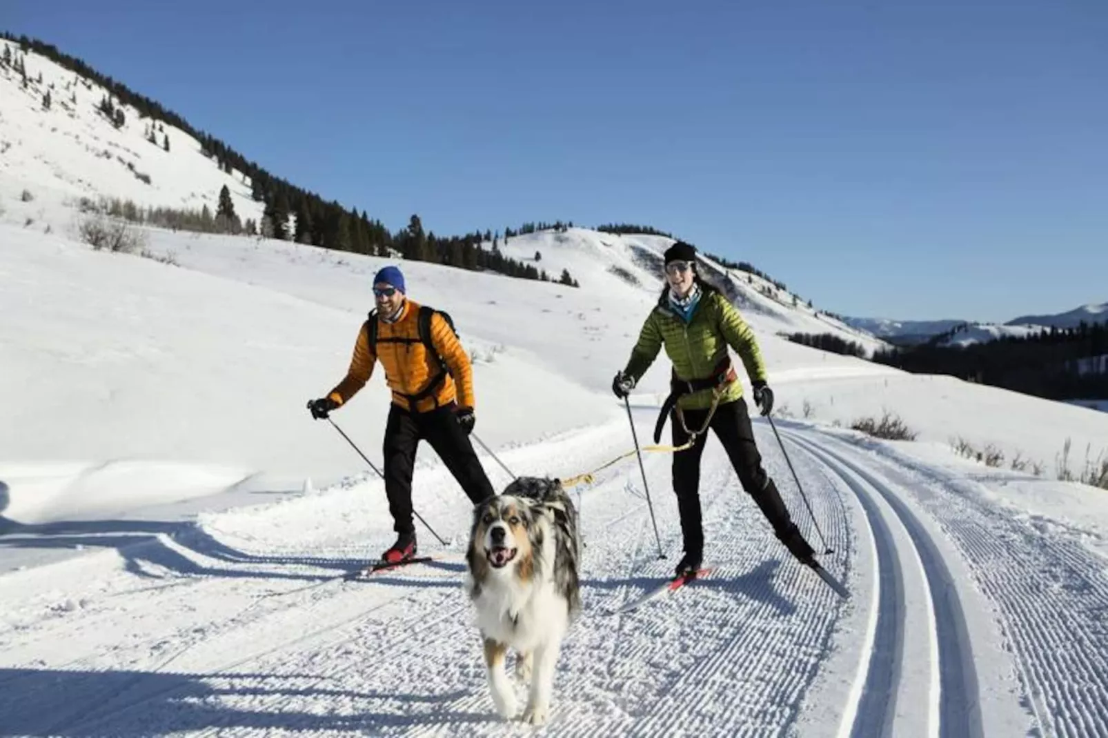 Chalet Epicea-Untagged