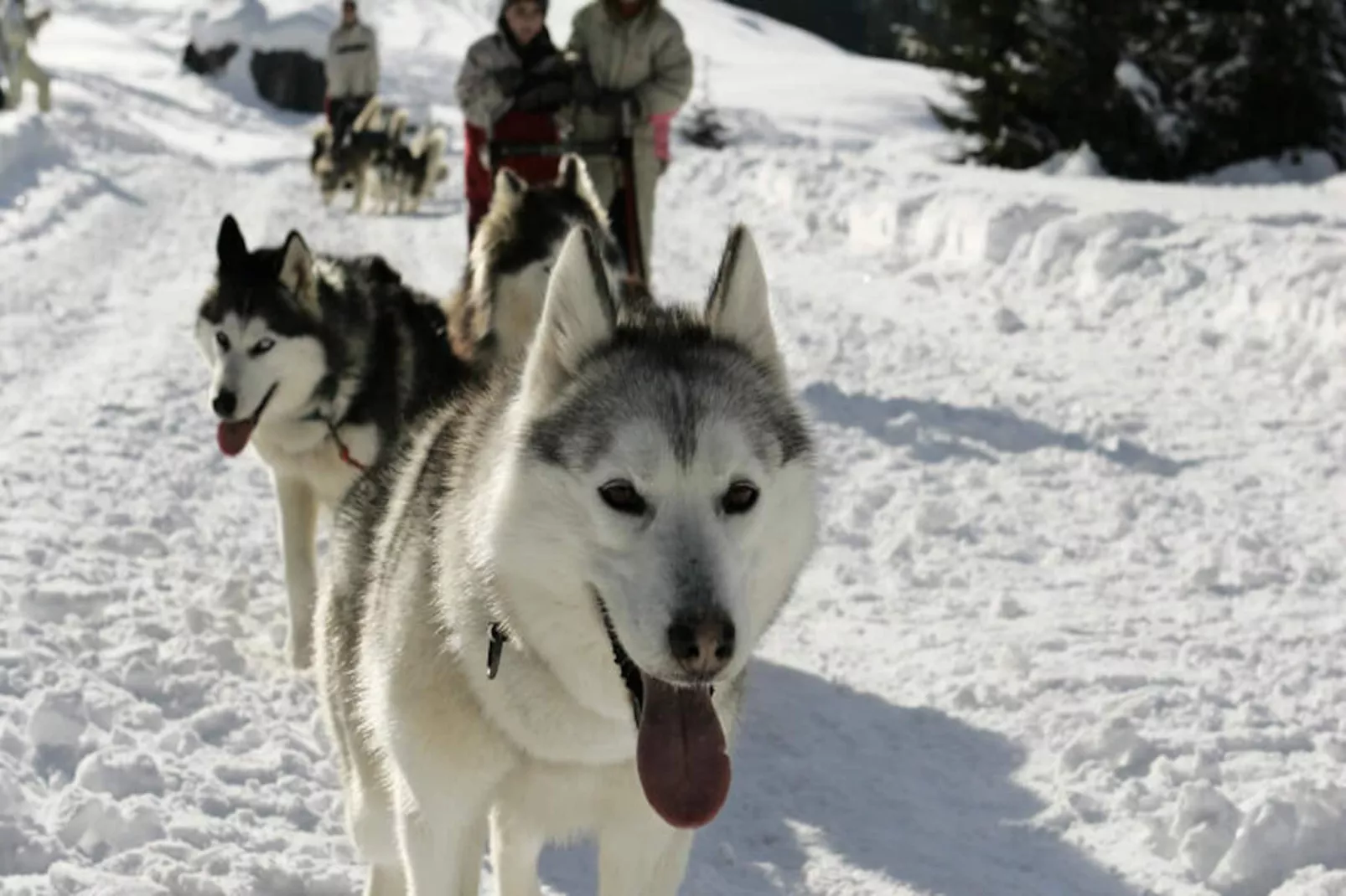 Appartements à Les Carroz-d'Arâches-Nicht zugeordnet