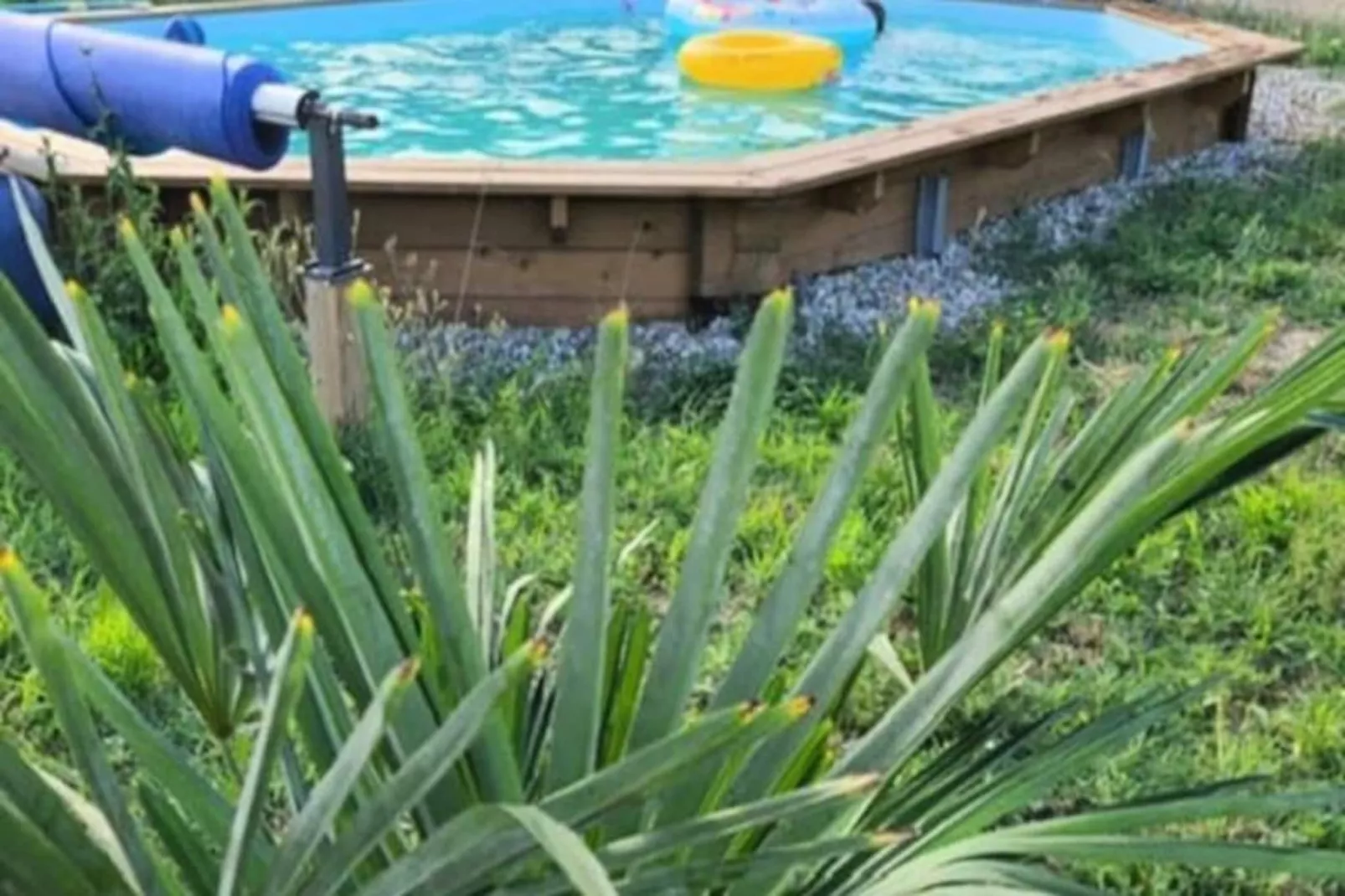 Maison Familiale Avec Piscine - Isle-sur-la-sorgue-Non tagué