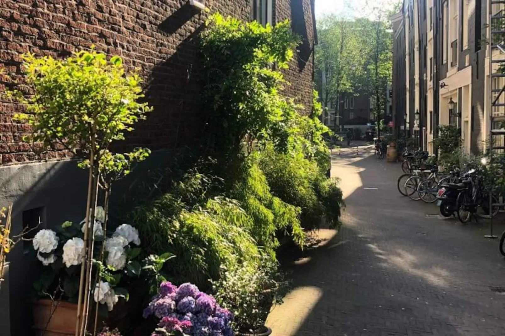 Studio Koggeschip Amsterdam Bb-Nicht zugeordnet