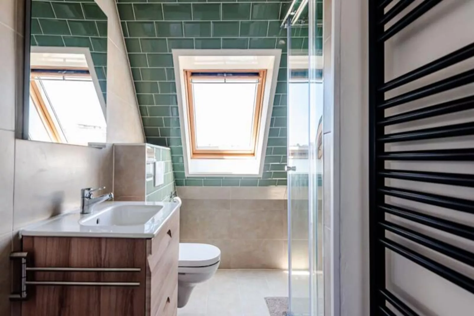 Albatros Aan Zee - Studio-Non tagué