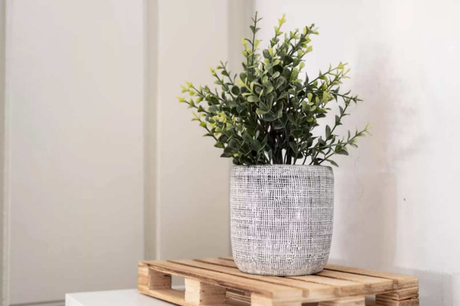 Studio à Porto-Untagged