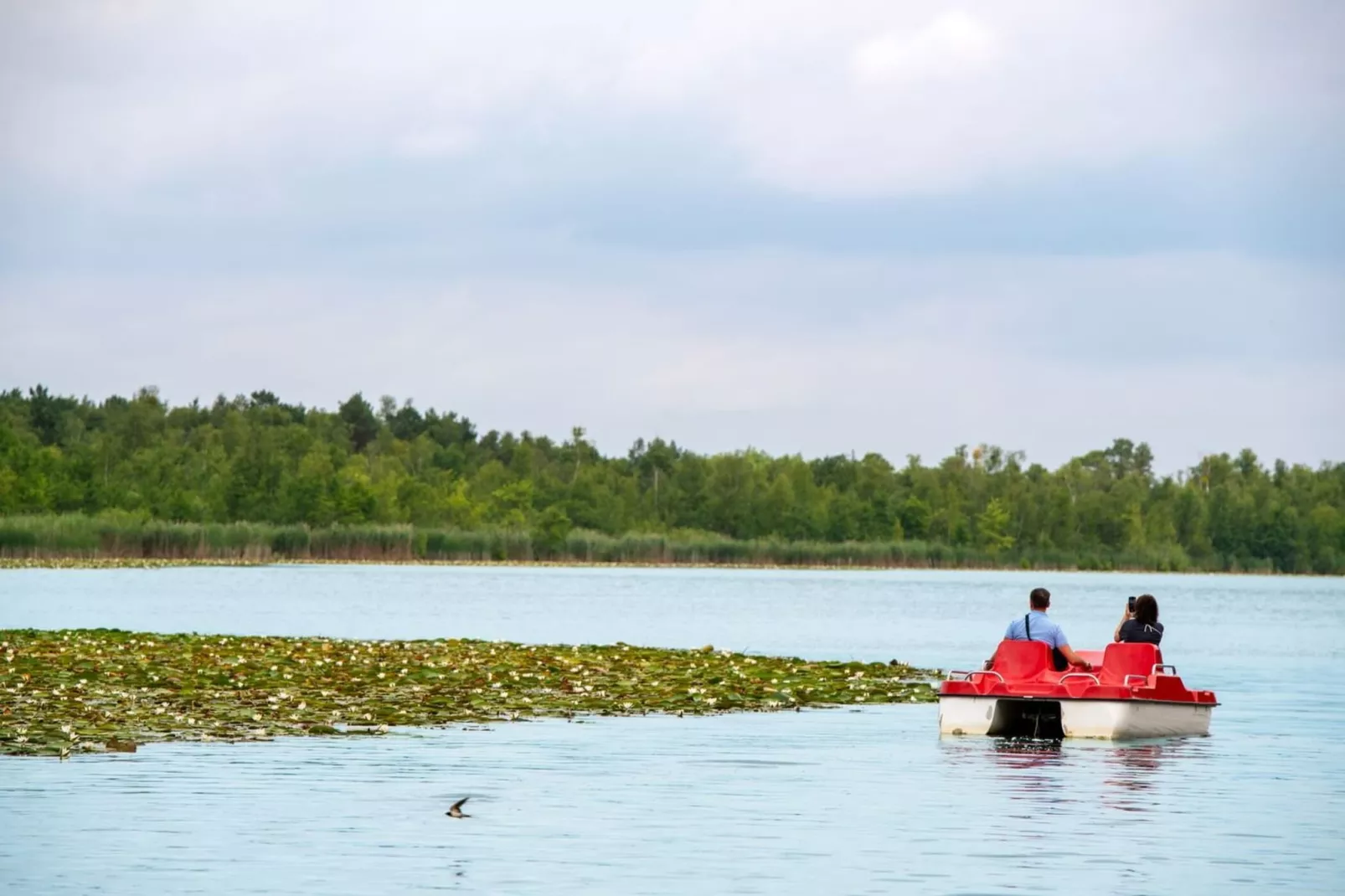 Strandläufer Classic 212-Areas within 5km in summer