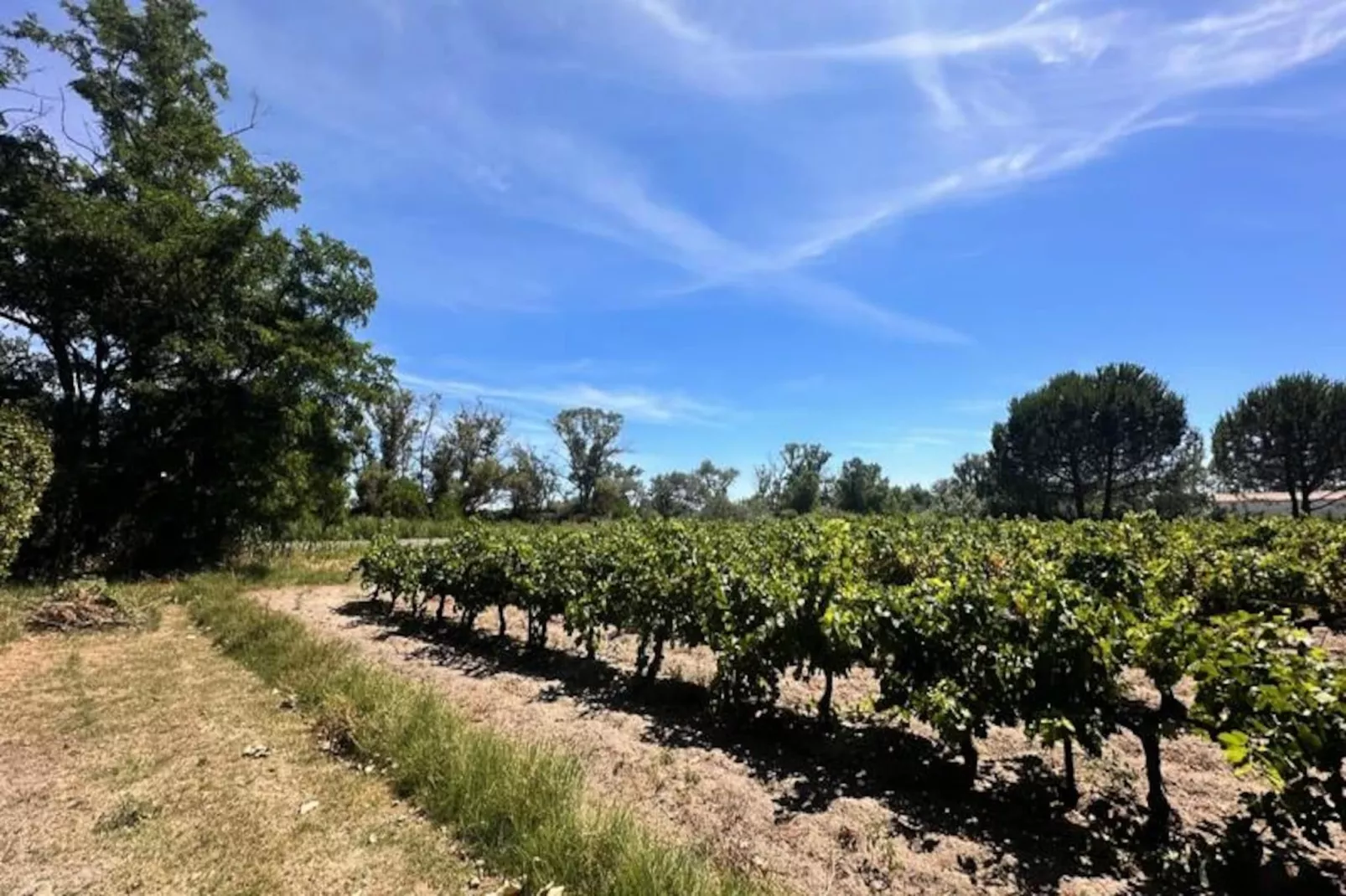 Résidence G&icirc;te Du Mas - Charmant G&icirc;te Proven&ccedil;al Avec Jardin Commun-Untagged