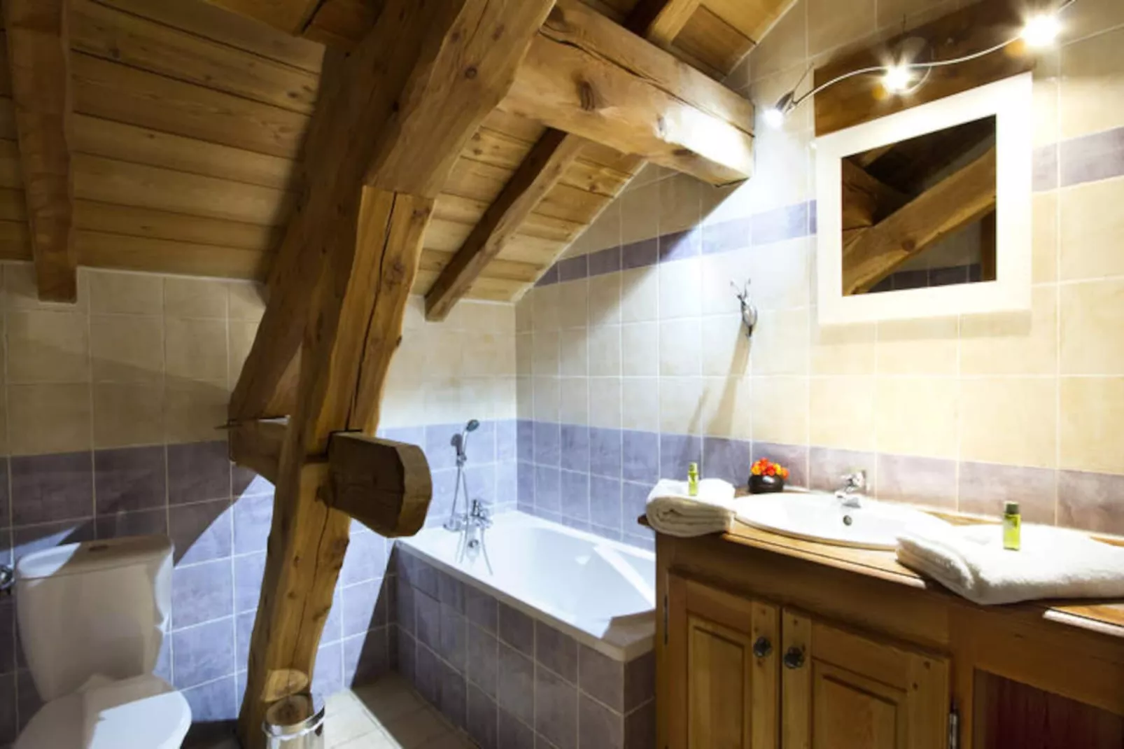 Résidence Alexandre & Chartreuse-Untagged