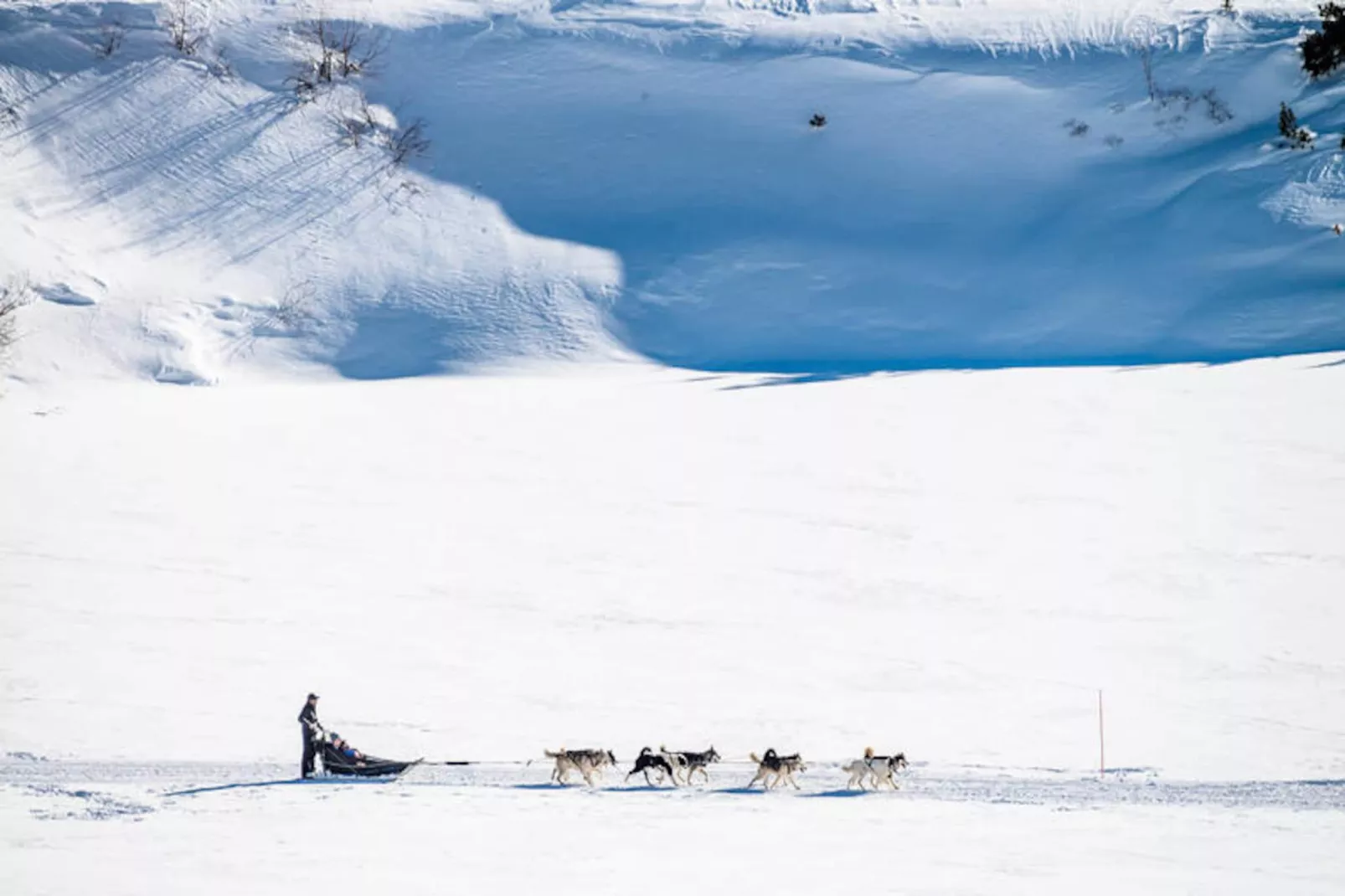 Résidence Armaillis-Untagged