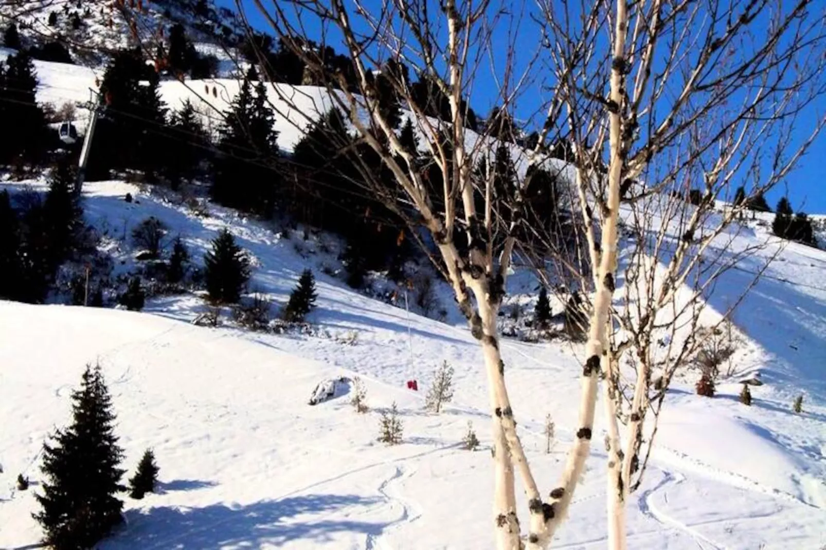 Résidence Lac Blanc-Non tagué
