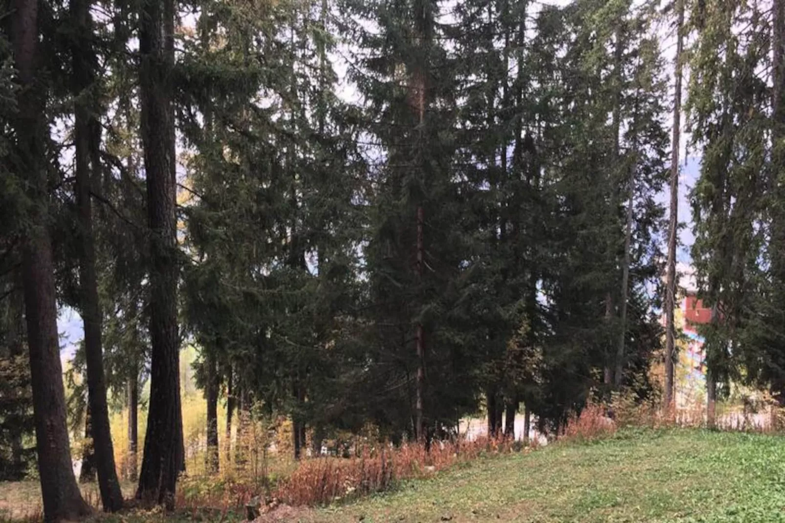 Résidence Alliet - Untagged