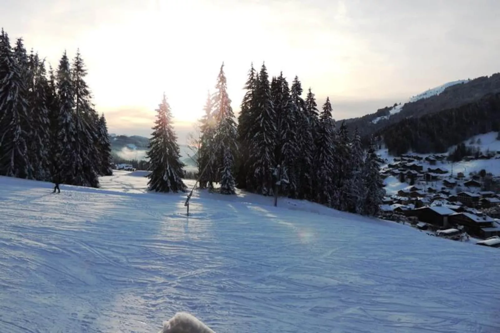 Résidence Grizzly-Untagged