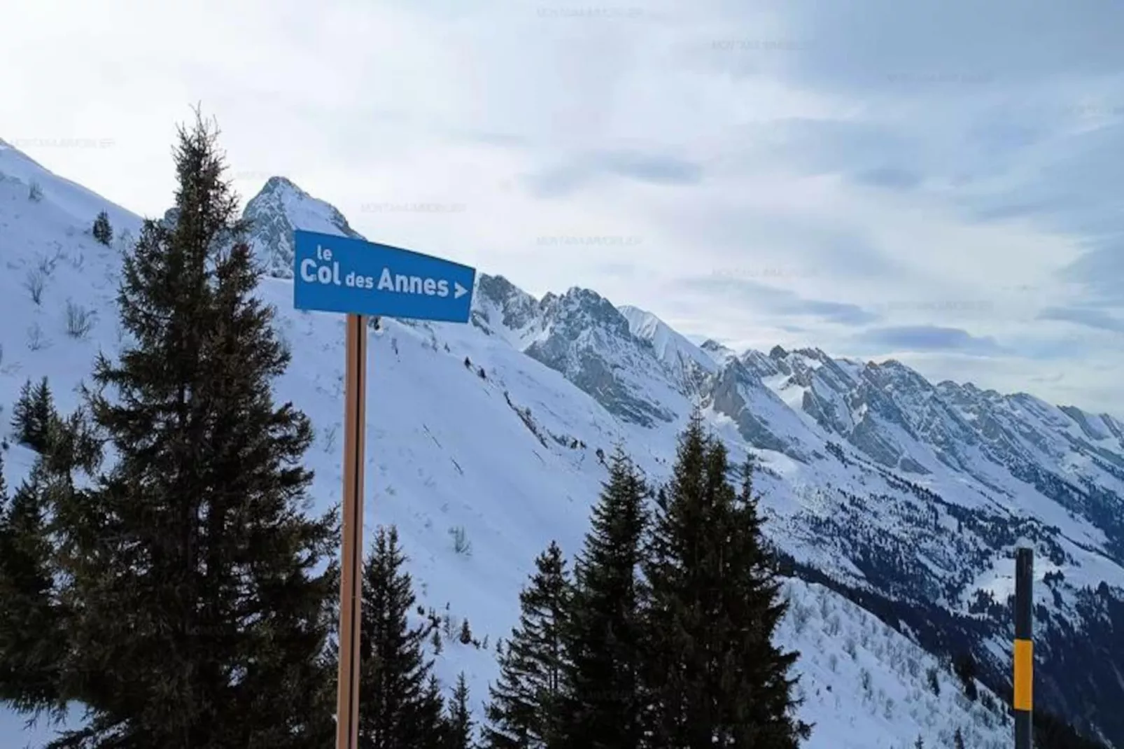 Résidence Millepertuis C-Untagged