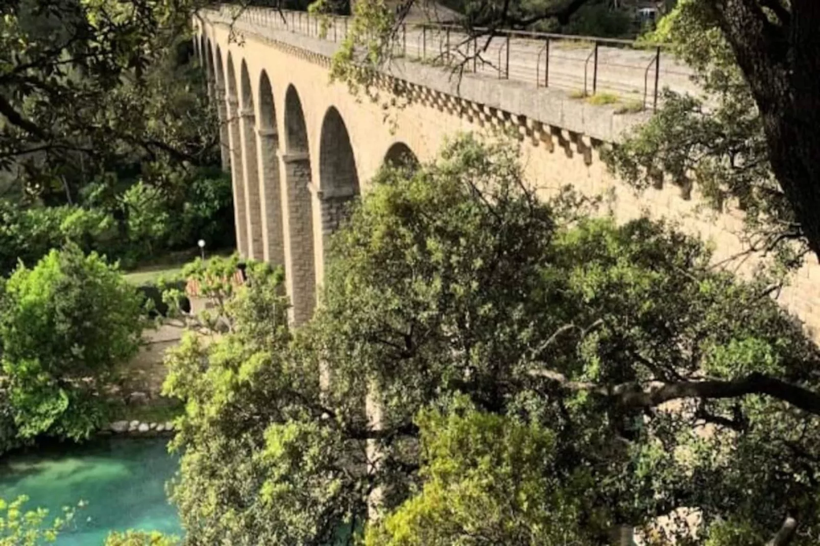 Fleurs De Provence-Untagged