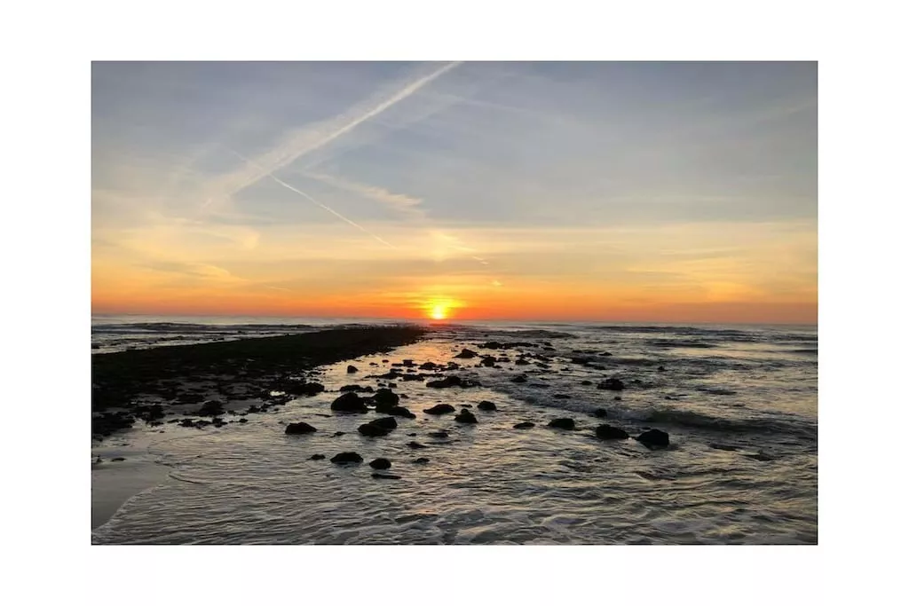 271618-Nicht zugeordnet