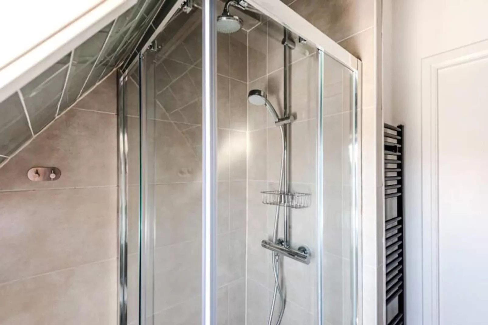 Albatros Aan Zee - Studio-Non tagué