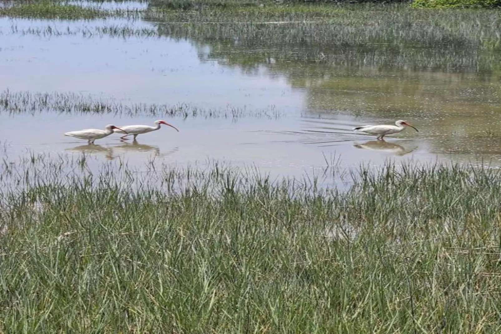 Résidence La Clé des Cimes 5-S10-Zones été à 20 km