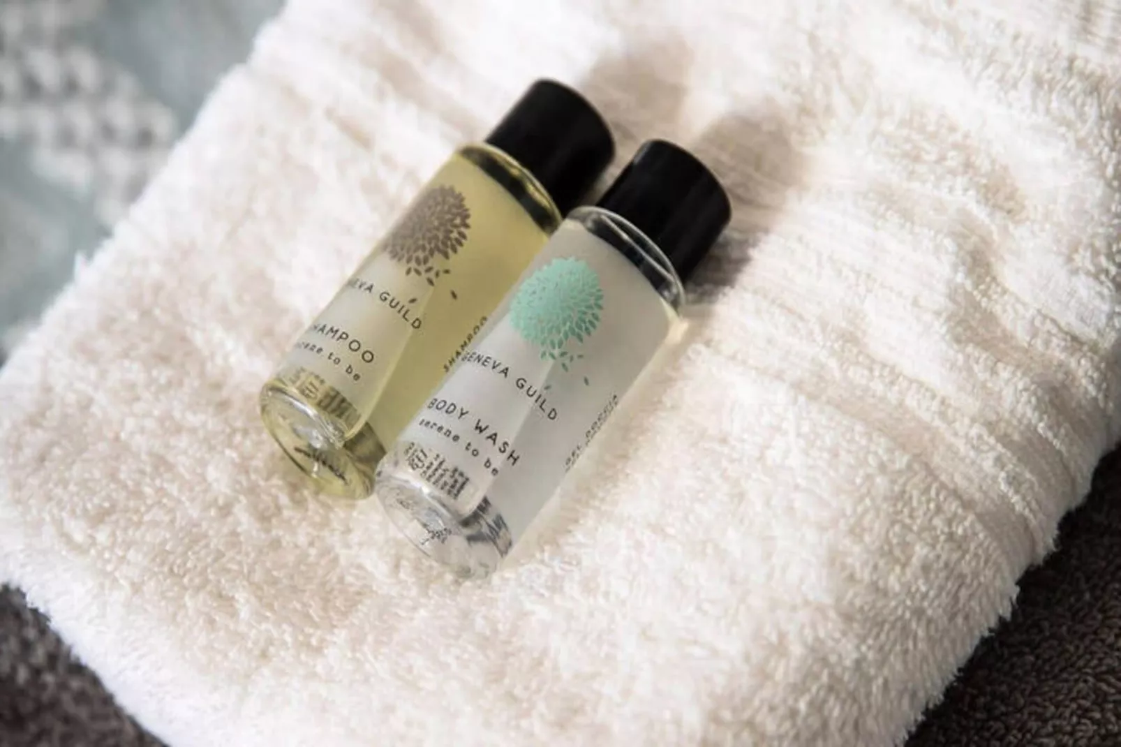 Appartements à La Rochelle-Untagged