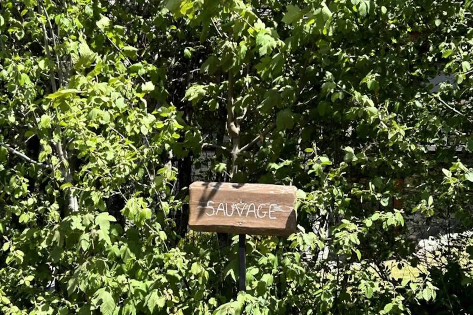 Les Residences Du Planelet-Nicht zugeordnet