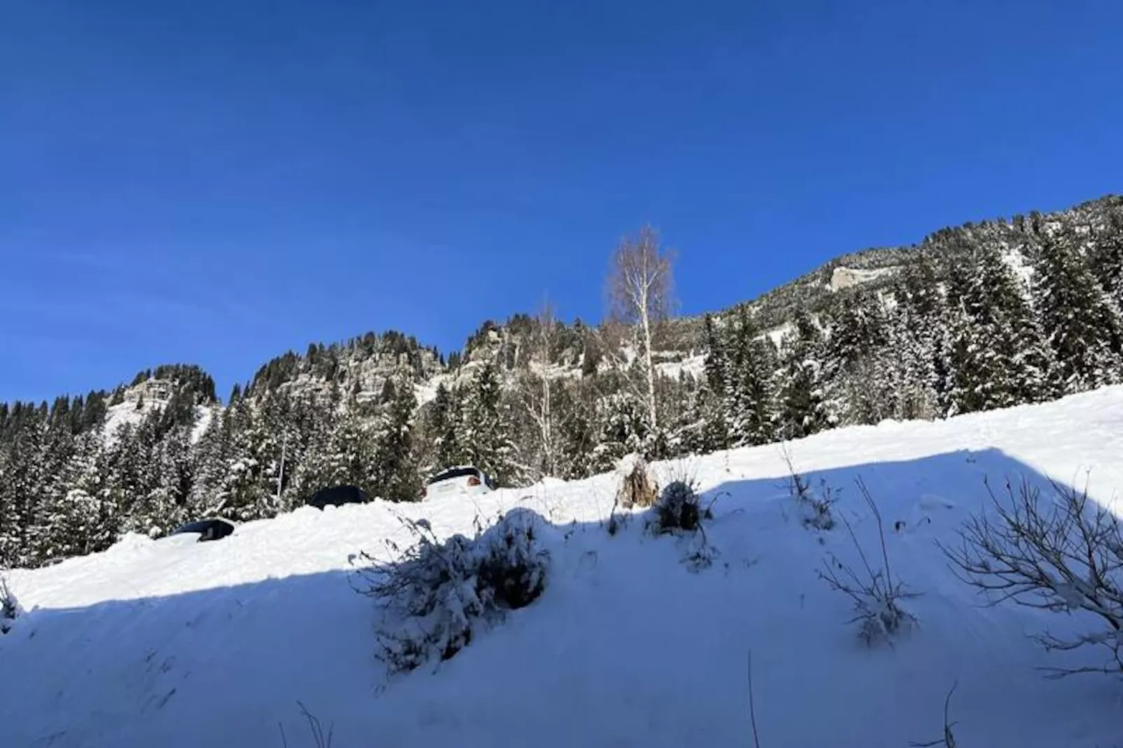 Résidence La Petite Ourse-Nicht zugeordnet