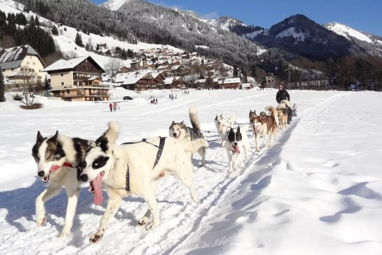 AlpChalets Portes du Soleil *****-Nicht zugeordnet