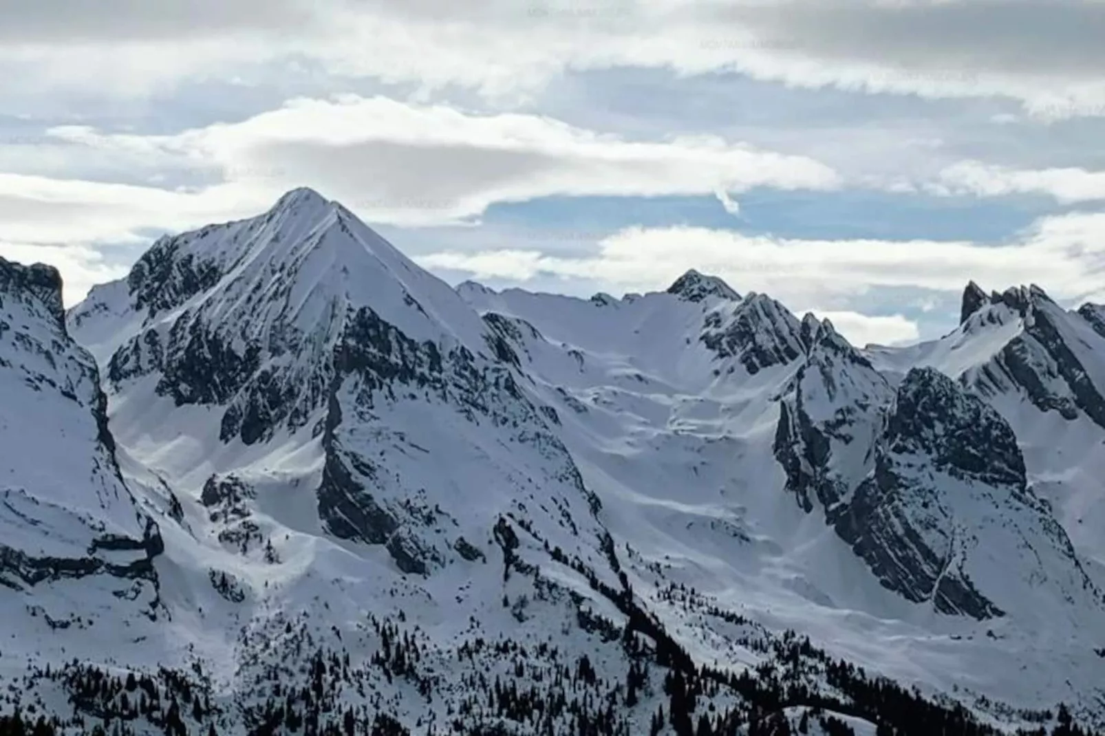 Résidence Millepertuis C-Untagged