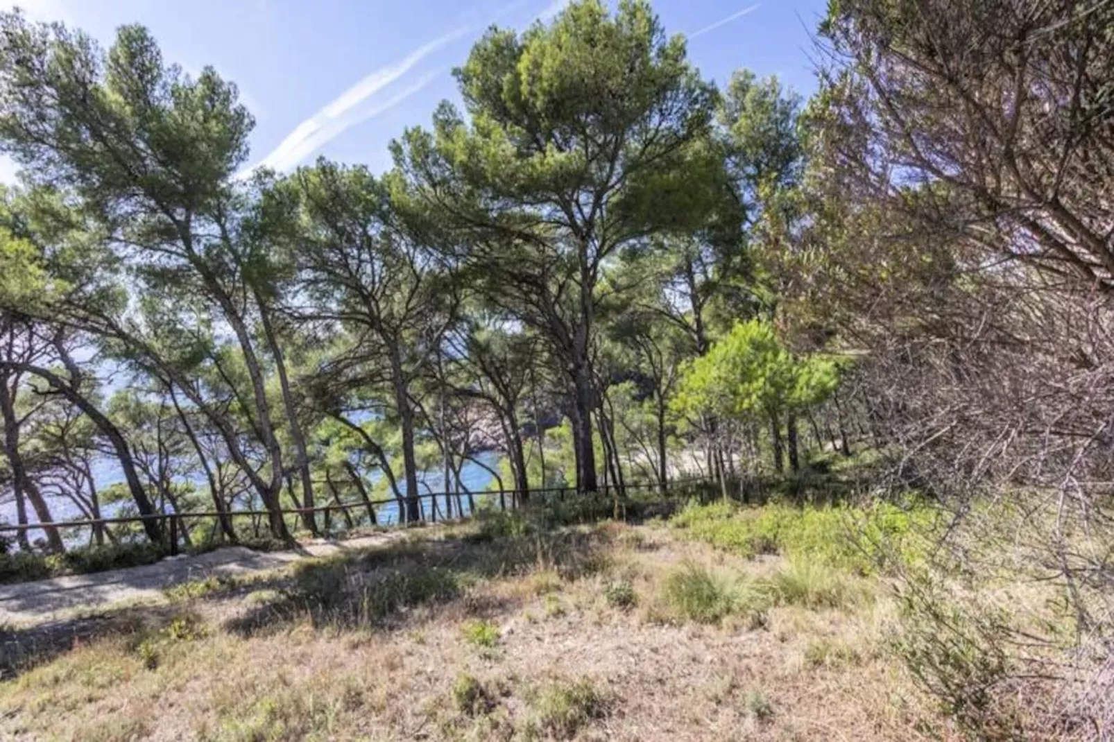 Studio Ath&eacute;na --Non tagué