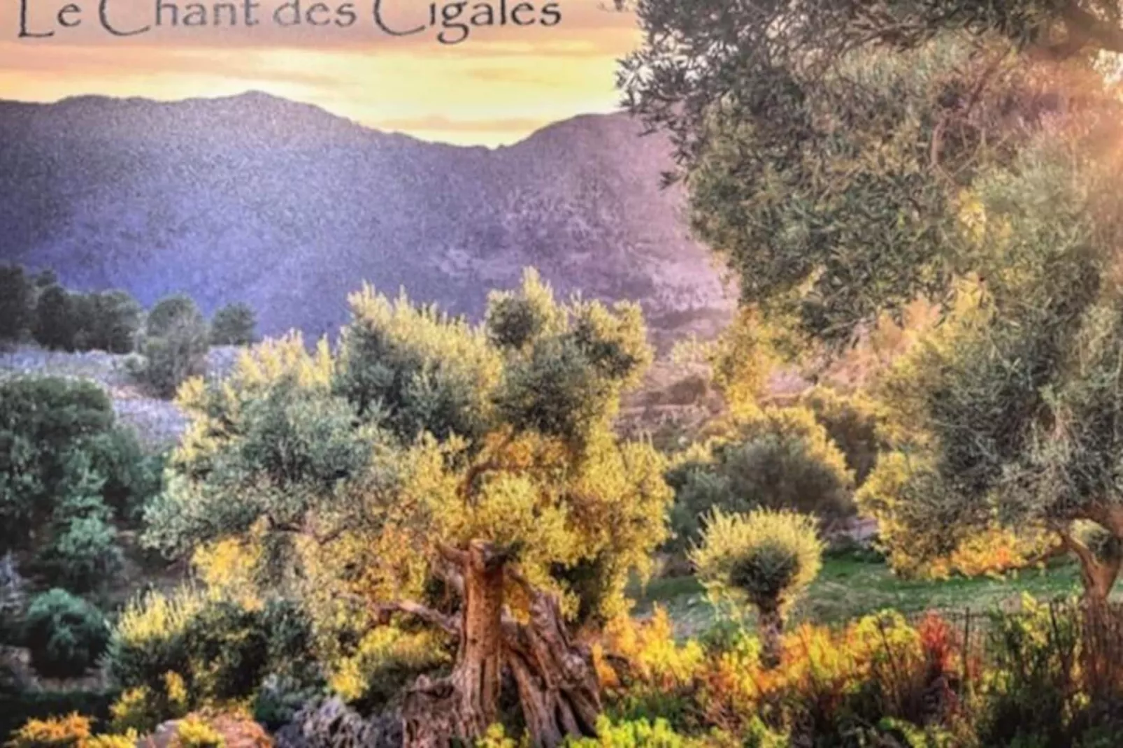 Le Chant Des Cigales-Nicht zugeordnet