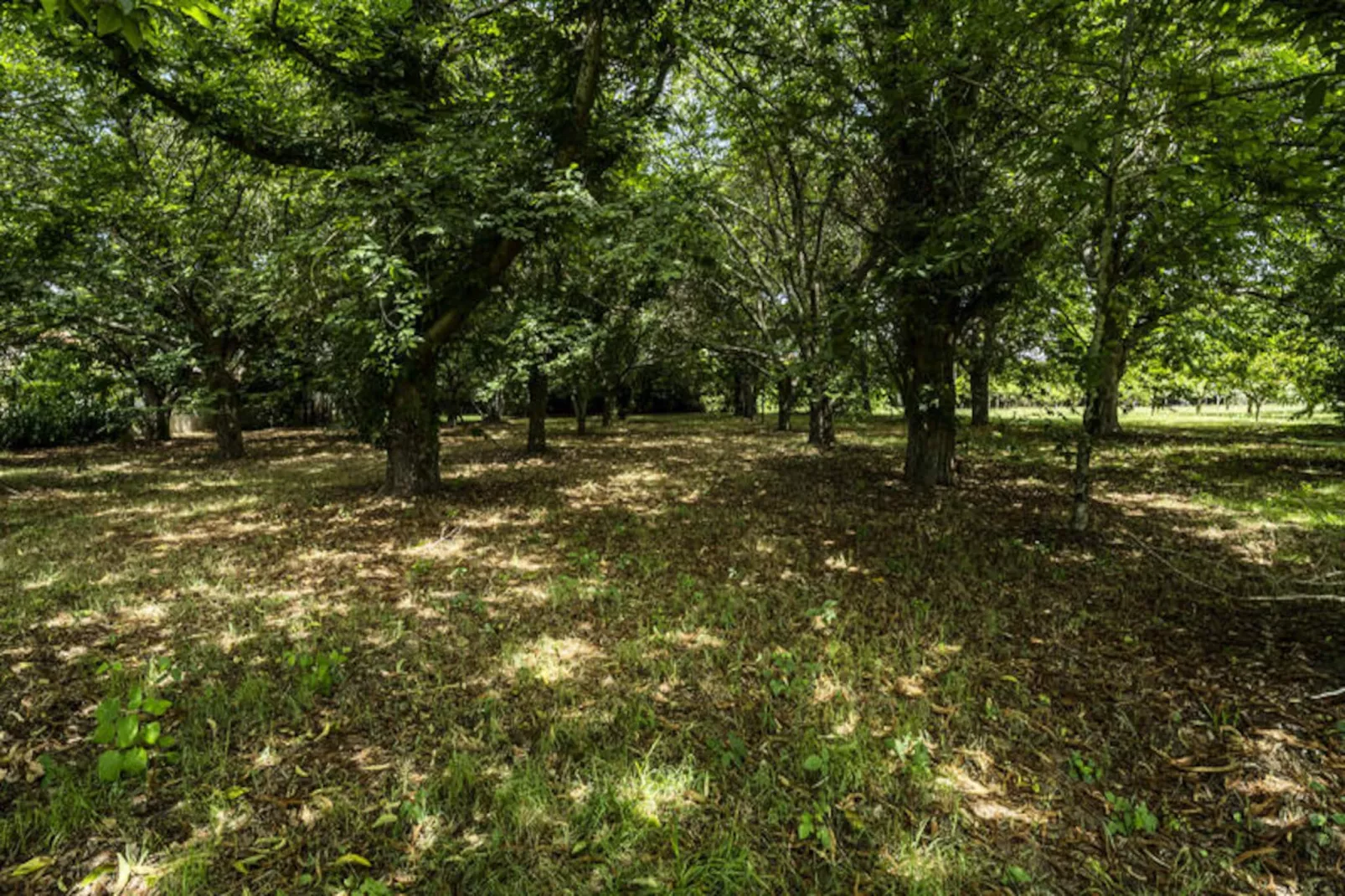 Maison à Santa Maria da Feira-Untagged