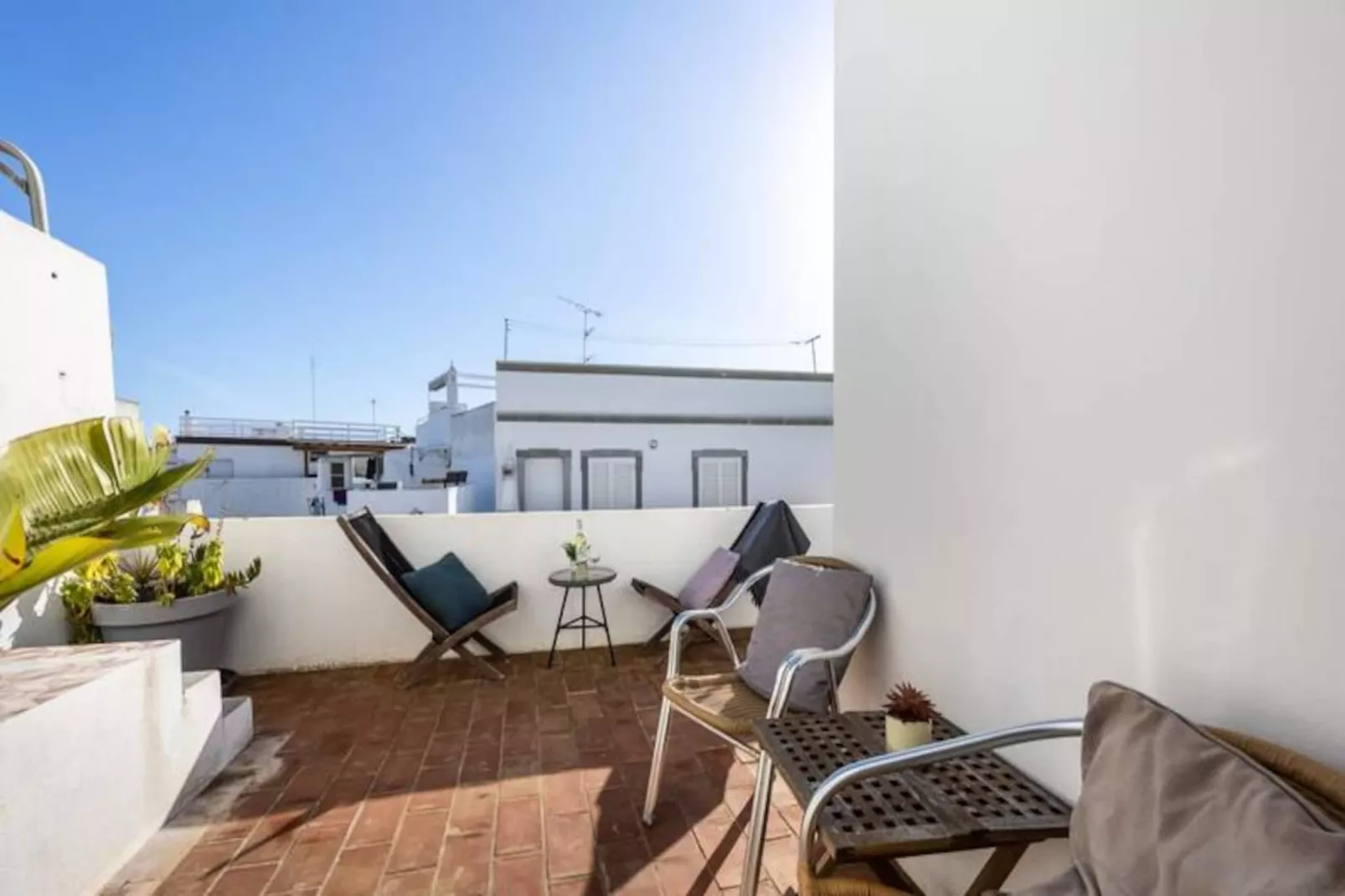 Perdiz Do Mar - Culatra-Untagged