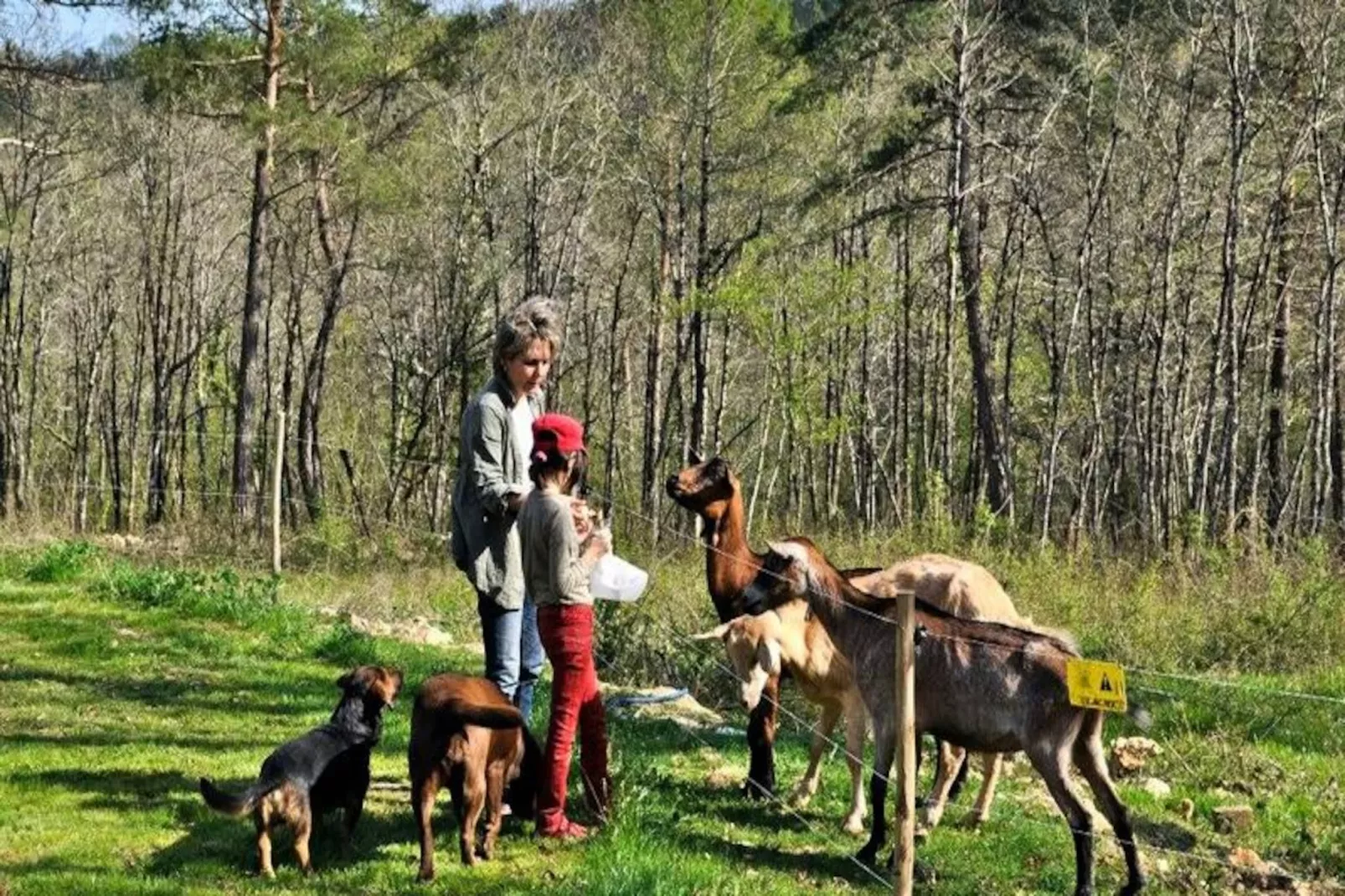 Domaine des Bories ****-Untagged