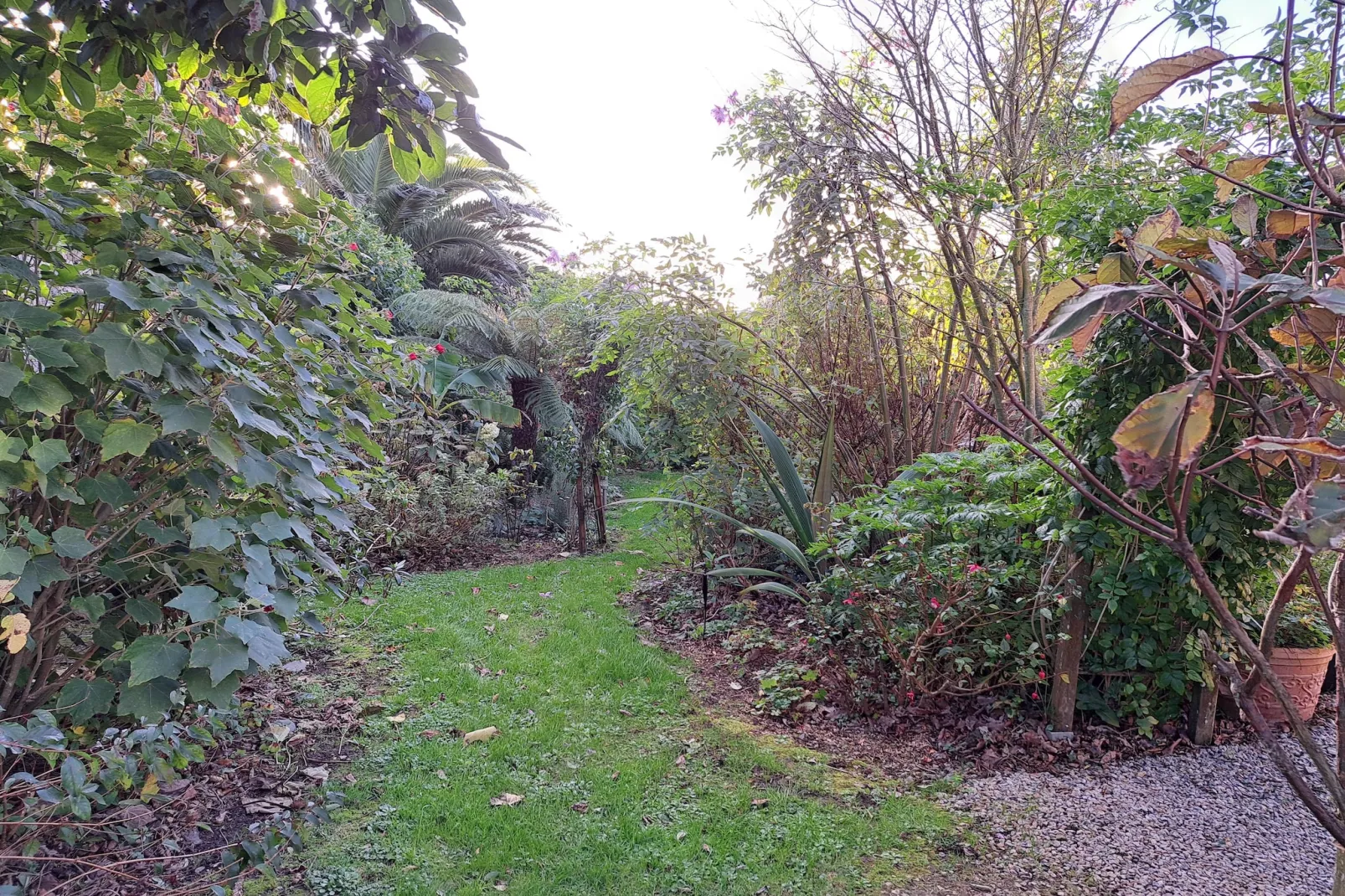 Granitsteinhaus in Guimaëc-Garden in winter